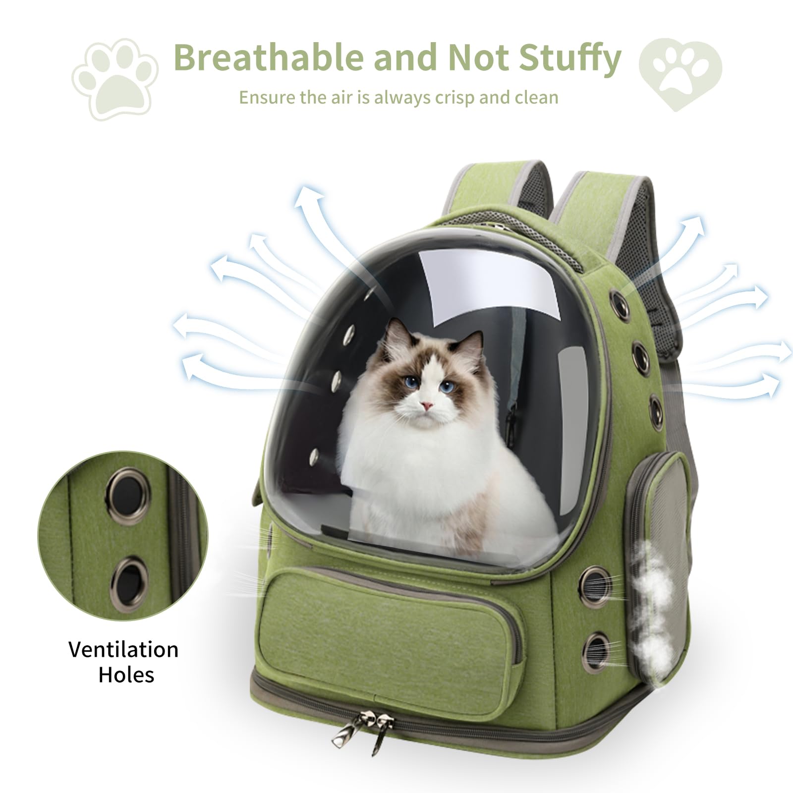 Cat Backpack Carrier Breathabl - Foldable Backpack Small review and price
